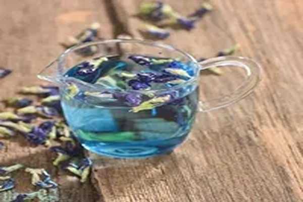 تصویر 5 از فروش گل گاوزبان تازه + قیمت خرید به صرفه